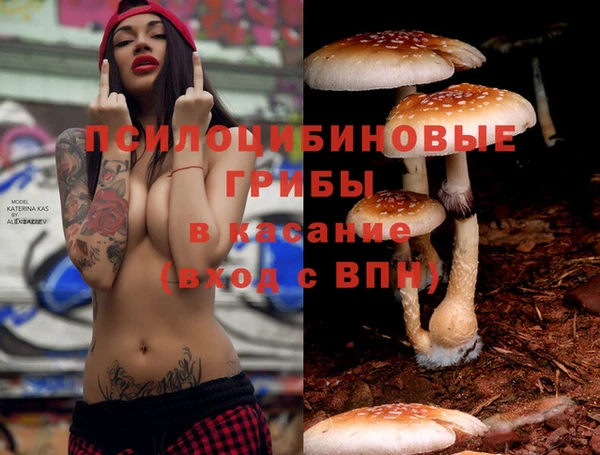 ECSTASY Алексеевка