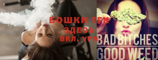молекула духа Осинники